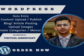 do wordpress content uploading, wp article blog posting