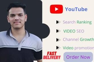 do best youtube channel SEO and video promotion organically