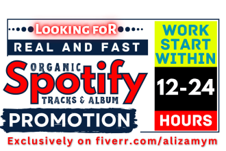 create promotional music ads for spotify marketing