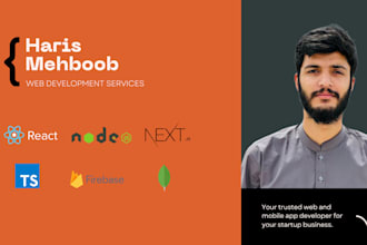 do professional web development for fast, modern, and secure websites