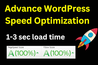 do wordpress speed optimization 90 plus on google page speed