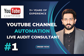 review, audit your channel as a youtube consultant and help you grow organically