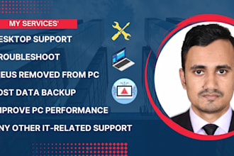 do remotely IT support, data backup, printer issue, bugs fix