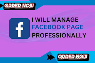 manage your facebook page professionally