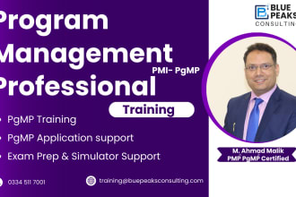 write program experience summaries in pmi pgmp certification