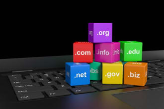 provide professional domain registration, setup, migration and transfer services