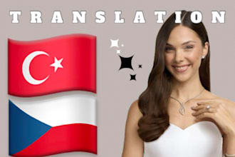 translate from turkish to czech language