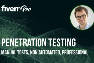 perform a manual penetration test on your website