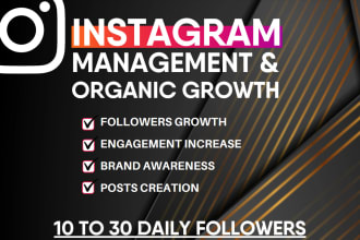 do instagram promotion for fast organic instagram growth