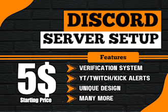 do discord server setup for you