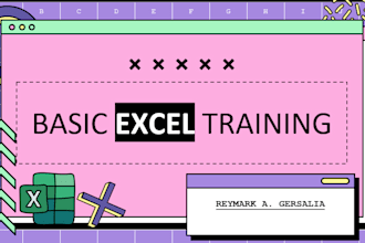provide basic excel training