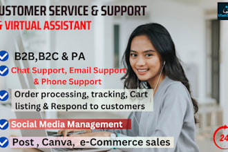 do customer service and virtual assistant