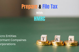 prepare and file company accounts, vat and self assessment with hmrc