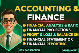 write up reports of financial analysis, finance ,accounting task and assignments