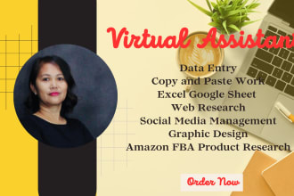 be your virtual assistant, data entry, web research