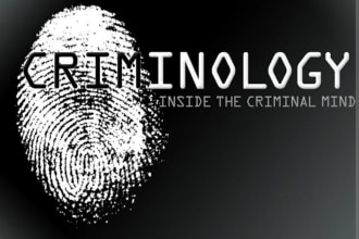 write perfect papers in criminology and criminal justice