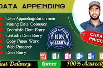 do data appending, data enrichment, web research and data entry