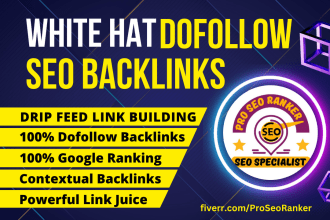 1000 skyrocket dofollow SEO backlinks white hat contextual web 2 0 link building