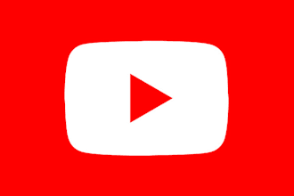 write high quality youtube script for you