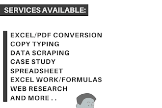 provide expert data entry services