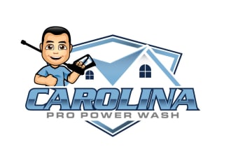 make a awesome pressure wash logo design with unlimited revisions