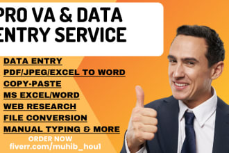 provide manual retyping and typing services within 24 hours