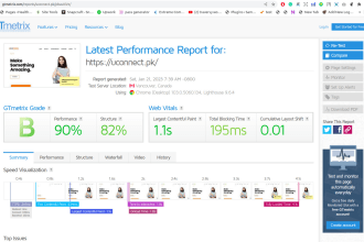 do wordpress website speed optimization and improve page speed