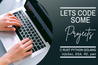 build cyber security projects in asm, c, golang, rust or python