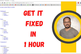 fix wordpress broken dashboard in 1 hour