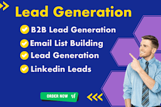 provide b2b lead generation, linkedin leads, email finder