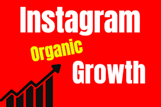 instagram organic growth with ig promotion