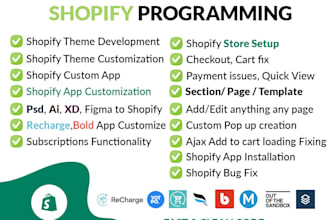 do shopify bug fix, customization and any kind of issues