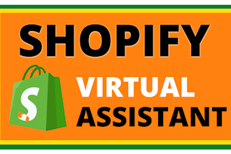 manage your shopify store as a full time shopify virtual assistant