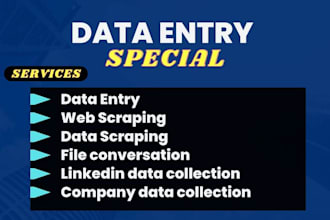 do accurate data entry, copy paste, scraping