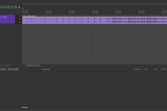 edit your tracks to what you require
