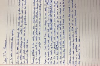 data entry english on ms word and arabic