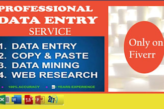 do excel data entry, copy paste, convert PDF, web research, typing, data