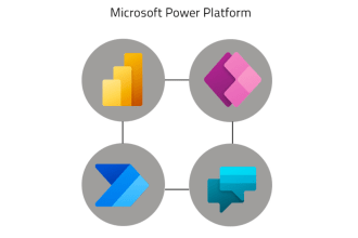design support and customize power platform as per the need