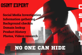 be your private osint investigator on your target