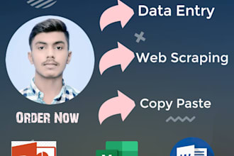 do data entry in low price