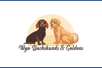 be draw your cat, dog or cute animal pet logo design
