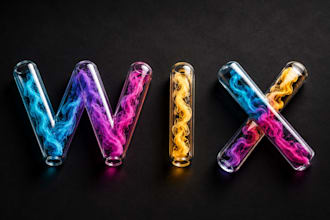 wix website development, wix website design, wix design, wix website designer
