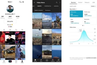 do a professional service for tiktok ,instagram,youtube
