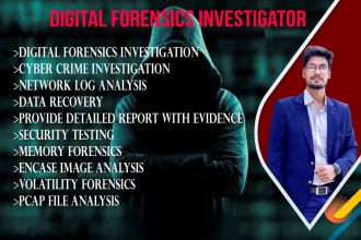 do digital forensics, data recovery, log analysis, and investigation