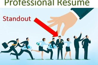 write quality and professional resumes