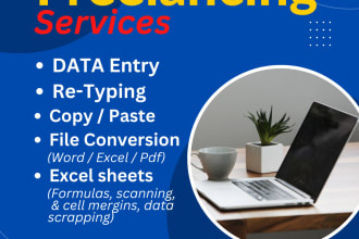 do data entry, file conversion, language conversion and logo design