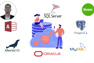 do a professional sql database tasks and queries development services