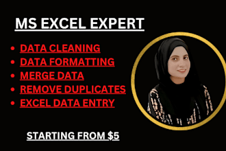 clean data, merge, organise and format excel sheet