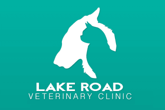 do make amazing pet care logo within 14 hours