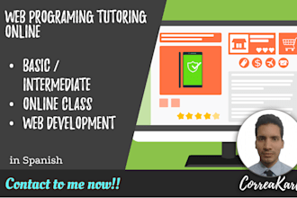 do web programming tutoring online